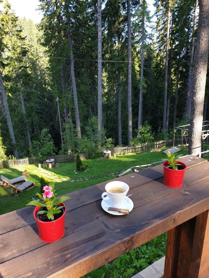Green Life Family Apartments Pamporovo Exterior photo